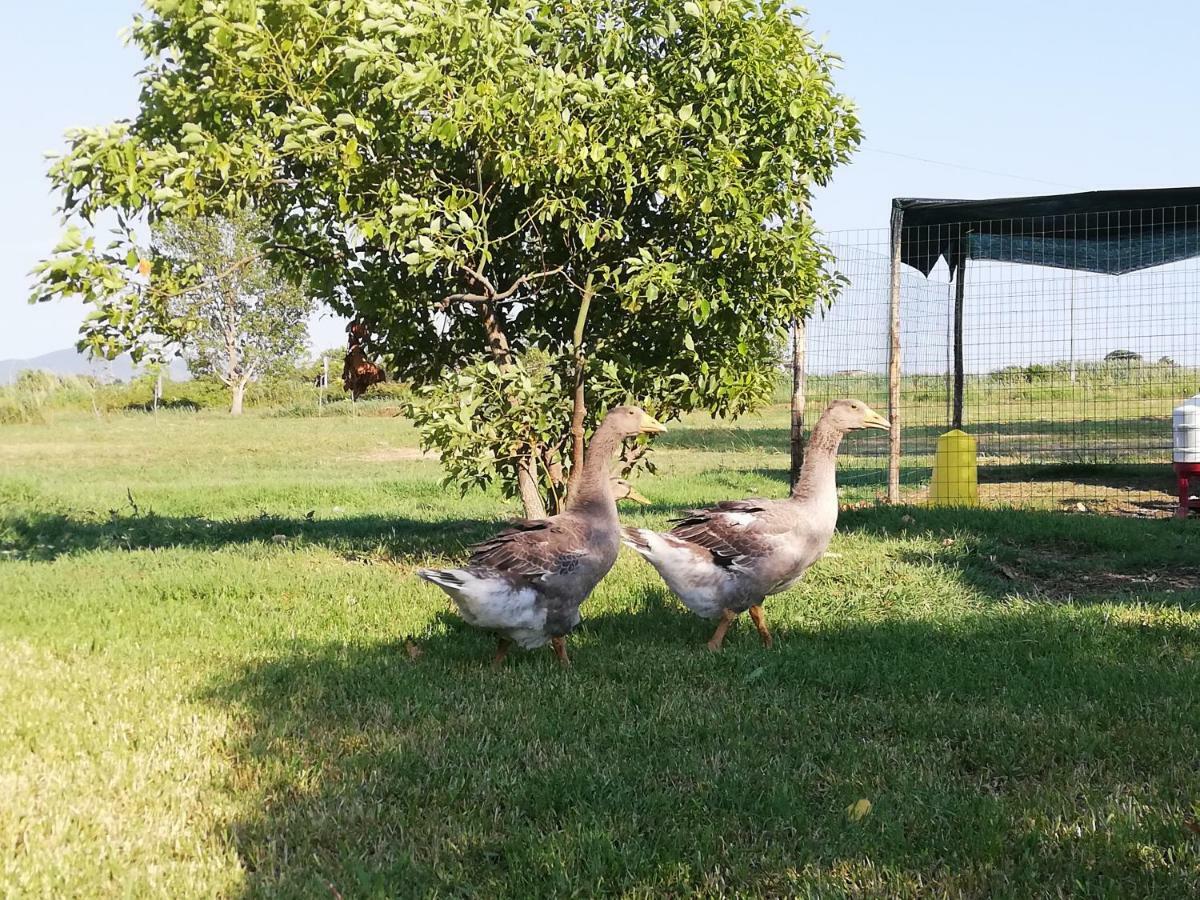 Agriturismo Le Folaghe Terracina Buitenkant foto